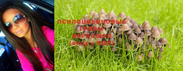 бошки Волоколамск
